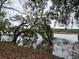 Picturesque lake surrounded by trees with Spanish moss creating a waterfront view at 2340 Ashley River Rd, Charleston, SC 29414