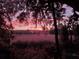 Majestic pink sunset view over an open field framed by trees with Spanish moss at 2340 Ashley River Rd, Charleston, SC 29414