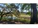 Scenic marsh view through trees with Spanish moss, offering a tranquil nature backdrop at 2340 Ashley River Rd, Charleston, SC 29414