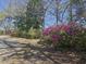 Side view of a gravel drive bordered by blooming purple azalea bushes at 2340 Ashley River Rd, Charleston, SC 29414