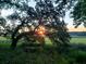Sunset view through mossy tree branches over open grass fields, creating a serene landscape at 2340 Ashley River Rd, Charleston, SC 29414