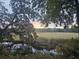 View of water and trees with Spanish moss, and in the distance there is a house at 2340 Ashley River Rd, Charleston, SC 29414