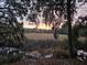 Houses overlook a waterfront area through trees with Spanish moss providing an open view at 2340 Ashley River Rd, Charleston, SC 29414