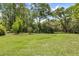 Expansive backyard with lush green grass and distant view of the house partially obscured by trees at 3627 Holmes Dr, Johns Island, SC 29455