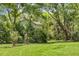 Lush green backyard with mature trees, shrubs, and a partial view of the house at 3627 Holmes Dr, Johns Island, SC 29455