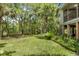 Expansive backyard with lush greenery, palm trees, and well-maintained lawn at 3627 Holmes Dr, Johns Island, SC 29455