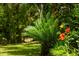 Landscaped yard featuring a palm tree, flowering plants, and tropical foliage at 3627 Holmes Dr, Johns Island, SC 29455