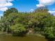 Scenic water view with lush trees, peaceful bench, and a tranquil ambiance, perfect for nature lovers at 3627 Holmes Dr, Johns Island, SC 29455