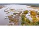 Breathtaking aerial view of waterfront homes with private docks and boat lifts surrounded by marsh and trees at 4215 Ten Shillings Way, Ravenel, SC 29470