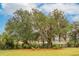 Lush backyard featuring mature trees and views of the water beyond the fence at 4215 Ten Shillings Way, Ravenel, SC 29470