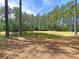 Scenic view of a tranquil pond surrounded by towering trees and lush greenery, offering a serene natural setting at 4823 Shady Tree Ln, Summerville, SC 29485