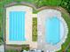 Aerial view of a pristine community pool with sun loungers and meticulous landscaping at 520 Crossland Dr, Moncks Corner, SC 29461