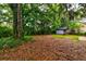 Large backyard with an outbuilding and ample space amid mature trees creating a tranquil outdoor setting at 5322 Chantilly Ln, North Charleston, SC 29418