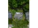 Aerial view of a home with a backyard patio set, enclosed fence, and lush surrounding trees at 1250 White Tail Path, Charleston, SC 29414