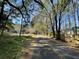 Road with mature tree canopy above the road, creating a serene approach to the property at 137 Droze Rd, Summerville, SC 29483