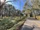 View of road along wooded lot showcasing potential building site surrounded by mature trees at 137 Droze Rd, Summerville, SC 29483