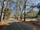 Street view of the wooded property featuring a tree-lined road and natural setting at 137 Droze Rd, Summerville, SC 29483