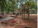 A large wooded playground featuring slides, swings, and climbing structures for children to explore at 164 Historic Dr, Mount Pleasant, SC 29464