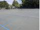 Well-maintained tennis court with clear lines and ample space for players to enjoy a match at 164 Historic Dr, Mount Pleasant, SC 29464