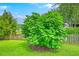 A lush backyard features a young fig tree, a pond, and a well-manicured lawn at 1868 Palmetto Isle Dr, Mount Pleasant, SC 29466