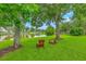 A serene backyard includes mature trees and faces a relaxing body of water with resting chairs on grass at 1868 Palmetto Isle Dr, Mount Pleasant, SC 29466