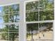 A view from a home's window looking out onto a lush green yard with trees providing shade and privacy at 2006 Riverbend Dr, Charleston, SC 29412
