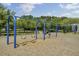 Swings at the community playground with trees and landscaping in the River Towne on the Wando neighborhood at 2516 Willbrook Ln, Mount Pleasant, SC 29466