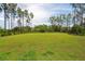 Expansive backyard with lush green grass and mature trees, offering privacy and ample space at 3871 Sawyers Island Dr, Mount Pleasant, SC 29466