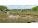 Picturesque dock and marsh view, perfect for enjoying waterfront living and Lowcountry nature at 3871 Sawyers Island Dr, Mount Pleasant, SC 29466