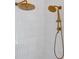 Close-up of sleek, gold dual shower heads against modern tile at 3871 Sawyers Island Dr, Mount Pleasant, SC 29466