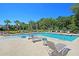 Community pool with lounge chairs, palm trees and lush landscaping on a sunny day at 3873 Hanoverian Dr, Mount Pleasant, SC 29429