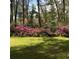 Lush backyard featuring vibrant pink azaleas and a well-manicured lawn at 4150 Nature View Cir, Johns Island, SC 29455