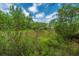 Overgrown marsh area with vegetation and trees in the background; a home can be seen through the trees at 5847 Back Bay Dr, Isle of Palms, SC 29451