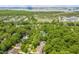 Aerial view of community showcasing mature trees, pond, and waterfront access at 7053 Schooner St, Daniel Island, SC 29492