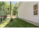 Spacious backyard featuring a well manicured lawn, privacy fence, and mature trees at 7053 Schooner St, Daniel Island, SC 29492