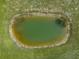 Aerial view of a serene pond with lush green surroundings, adding a tranquil element to the landscape at 806 Appii Rd, Moncks Corner, SC 29461