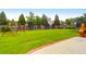 Spacious backyard features a swing set, trampoline, lush green grass, and privacy fencing at 9785 Black Willow Ln, Ladson, SC 29456