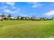 Scenic view of community grounds with lush green grass and neatly trimmed bushes at 117 Harbor Trace Ln, Summerville, SC 29486