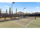 Pickleball court with a well-kept net and bright court lines, ideal for sports and recreation at 117 Harbor Trace Ln, Summerville, SC 29486