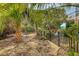 Landscaped backyard with palm trees, stone pavers and pathway leading to pool at 1308 Divot Ct, Mount Pleasant, SC 29466