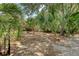 Spacious backyard featuring verdant palm trees providing ample privacy at 1308 Divot Ct, Mount Pleasant, SC 29466