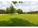 Expansive front yard with lush green grass and mature trees, providing a serene and inviting outdoor space at 160 Syrr Run Rd, Saint George, SC 29477