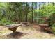 Backyard scene with a fire pit, a small table, and natural surroundings at 1604 Macoma Dr, Mount Pleasant, SC 29466