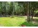 Wide-open backyard with lush green grass and surrounding trees for shade and privacy at 1604 Macoma Dr, Mount Pleasant, SC 29466