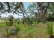 Lush yard with mature trees, plants, and a bench provides a tranquil setting at 1604 Macoma Dr, Mount Pleasant, SC 29466