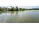Scenic view of a calm lake surrounded by lush greenery and waterfront properties at 1648 Secessionville Rd, Charleston, SC 29412