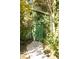 Green shed covered in ivy, located on a concrete pathway surrounded by greenery at 203 Weiters St, Walterboro, SC 29488