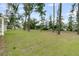 Expansive green backyard featuring well-maintained lawn and mature trees, offering a serene outdoor space at 3222 Pinewood Dr, Ladson, SC 29456