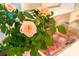 Close up on peach roses in a pot, surrounded by foliage at 3707 Gambrill Ln, Mount Pleasant, SC 29466