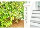 Clear view of the house number, '3707', on a white post with lush landscaping surrounding it at 3707 Gambrill Ln, Mount Pleasant, SC 29466